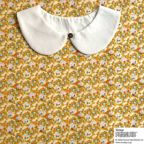 ���̑��̉摜