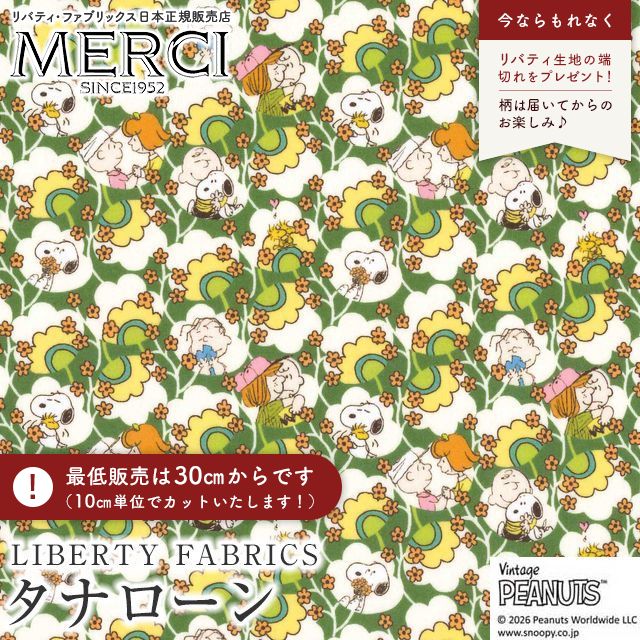 ���̑��̉摜