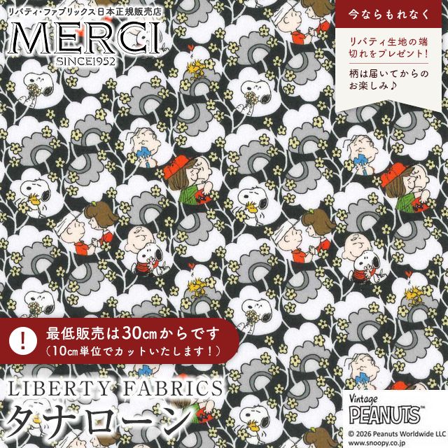 ���̑��̉摜