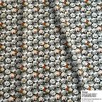 ���̑��̉摜