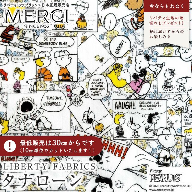 ���̑��̉摜