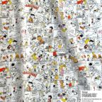 ���̑��̉摜