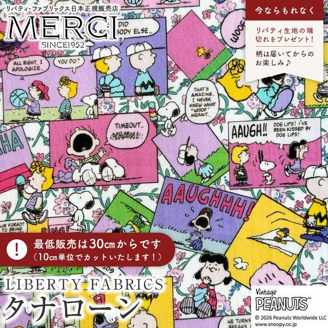 ���̑��̉摜