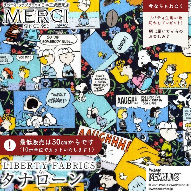 ���̑��̉摜