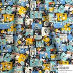 ���̑��̉摜