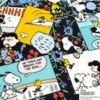 ���̑��̉摜