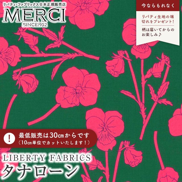���̑��̉摜