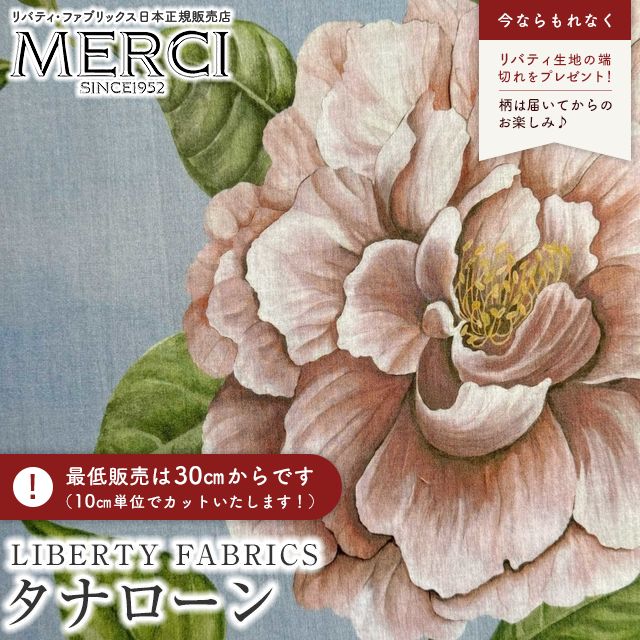 ���̑��̉摜