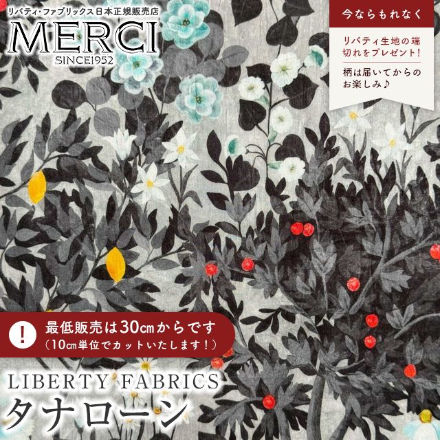 ���̑��̉摜