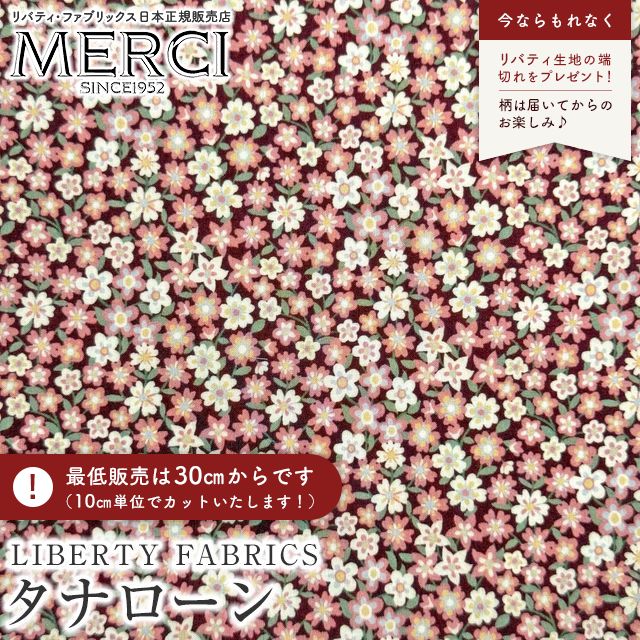 ���̑��̉摜