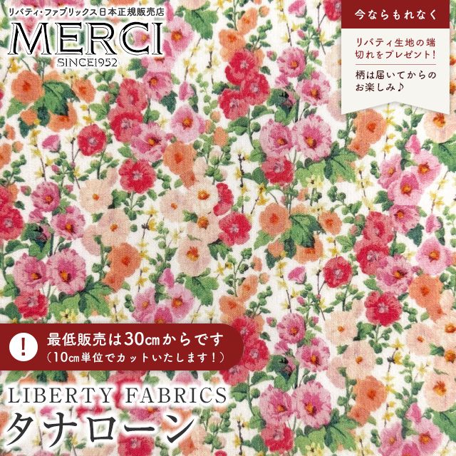 ���̑��̉摜