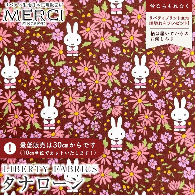 ���̑��̉摜