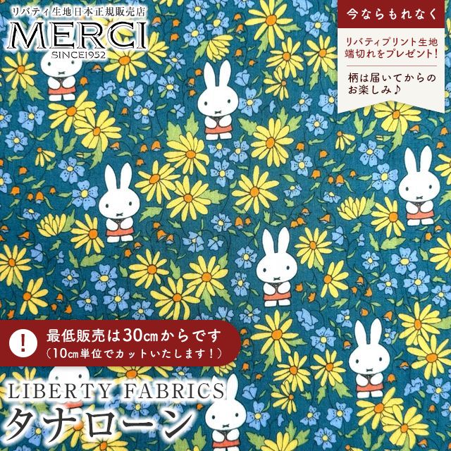 ���̑��̉摜