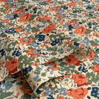 �J���[�o���G�[�V����