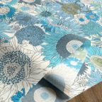 �J���[�o���G�[�V����