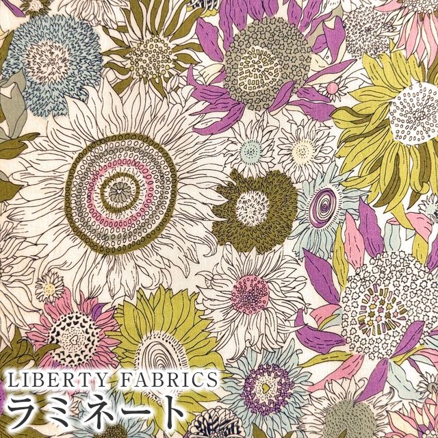 �J���[�o���G�[�V����