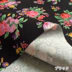 ���̑��̉摜