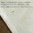 ���̑��̉摜