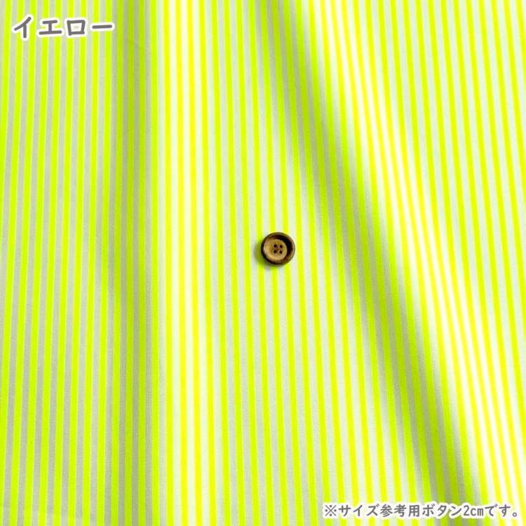 パステルカラー（緑）の三線（戻らないカラクイ付き） パステルカラー（緑）の三線（戻らないカラクイ付き） 和楽器