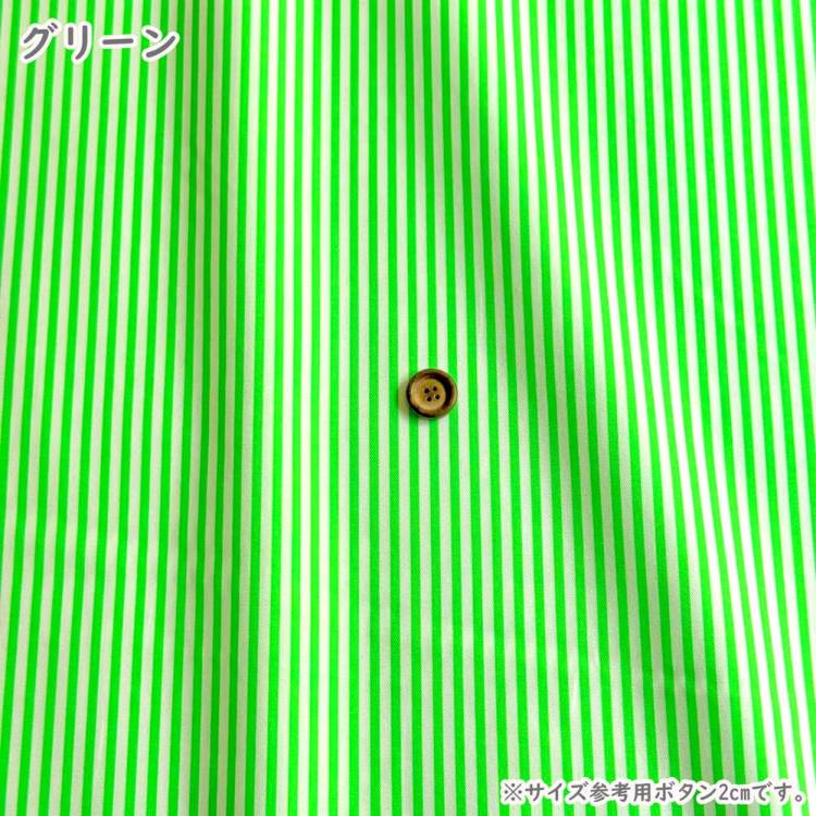 パステルカラー（緑）の三線（戻らないカラクイ付き） パステルカラー（緑）の三線（戻らないカラクイ付き） カワサキ