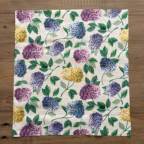 ���̑��̉摜