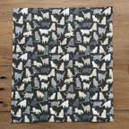 ���̑��̉摜