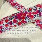 ���̑��̉摜