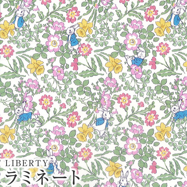 lilly︎︎‪‪様【リピーター様4点おまとめ】 Roomy 個別フォルダー - 株式会社リヒトラブ