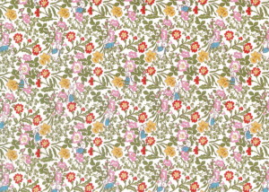 ピーターラビット™×リバティファブリックス LIBERTY