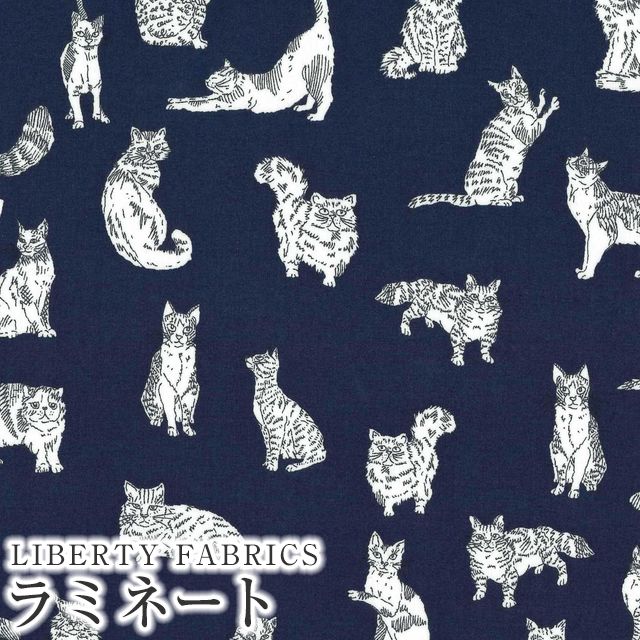 LIBERTY FABRICS リバティプリント 国産つや消しラミネート