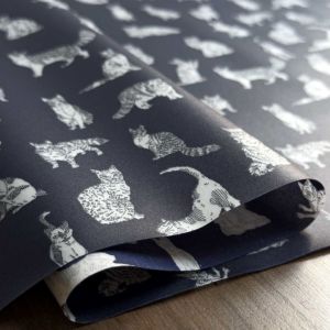 LIBERTY FABRICS リバティプリント 国産つや消しラミネート(ビニール