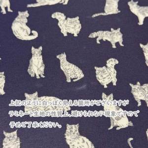 LIBERTY FABRICS リバティプリント 国産つや消しラミネート(ビニール