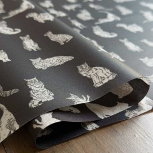 LIBERTY FABRICS リバティプリント 国産つや消しラミネート(ビニール