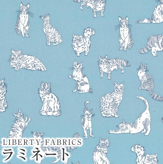 LIBERTY FABRICS リバティプリント 国産つや消しラミネート(ビニール