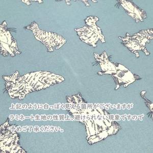 LIBERTY FABRICS リバティプリント 国産つや消しラミネート(ビニール