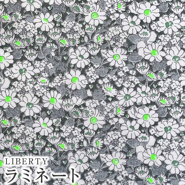 LIBERTY FABRICS リバティプリント 国産つや消しラミネート【2023SS