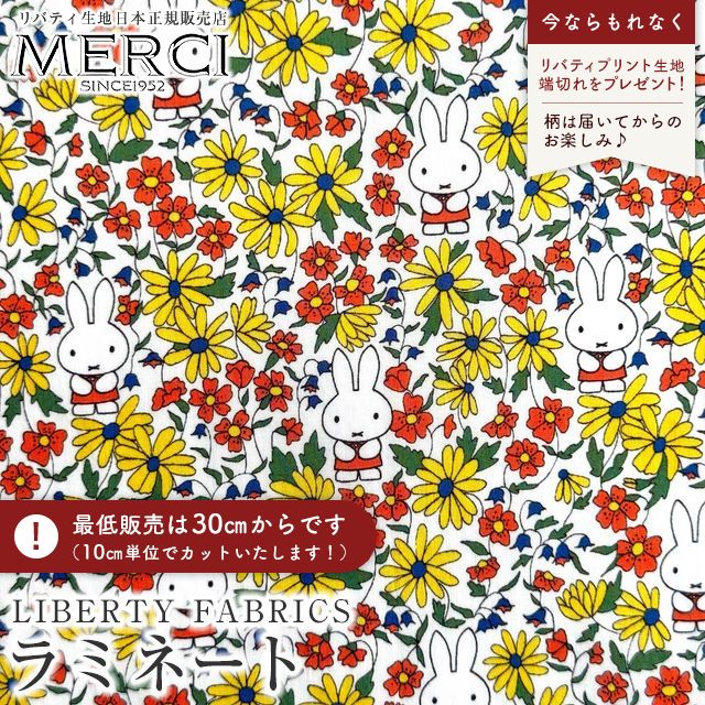 ���̑��̉摜