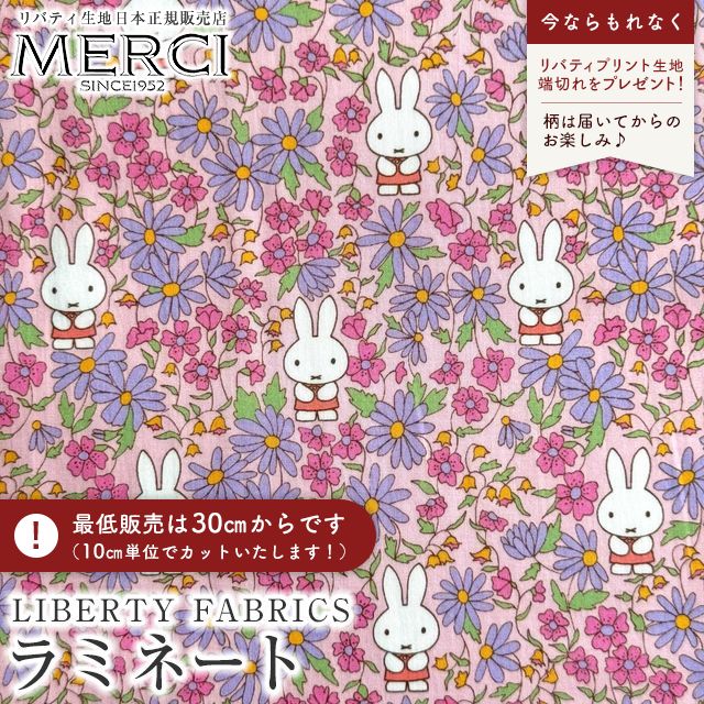 ���̑��̉摜