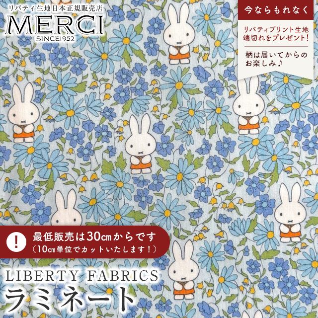 ���̑��̉摜