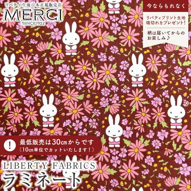 ���̑��̉摜