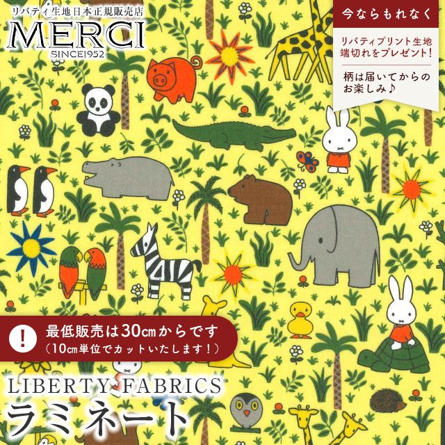���̑��̉摜