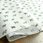 ���̑��̉摜