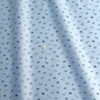 ���̑��̉摜