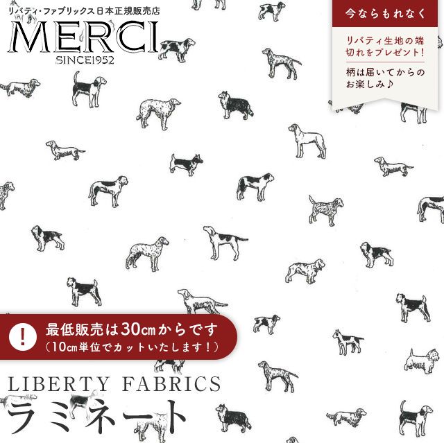 ���̑��̉摜