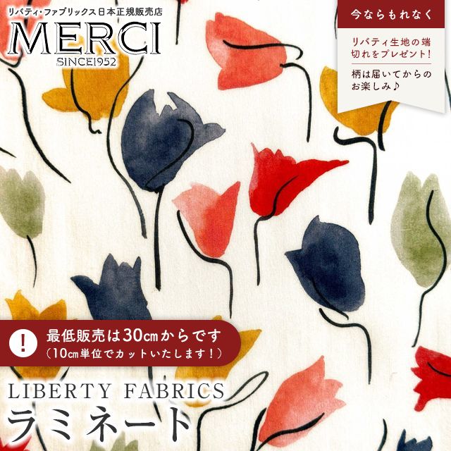 ���̑��̉摜