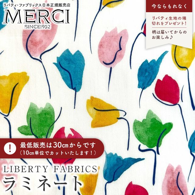 ���̑��̉摜