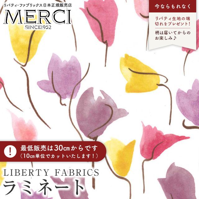 ���̑��̉摜