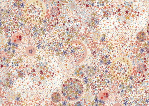 LIBERTY FABRICS リバティプリント 国産つや消しラミネート(ビニール