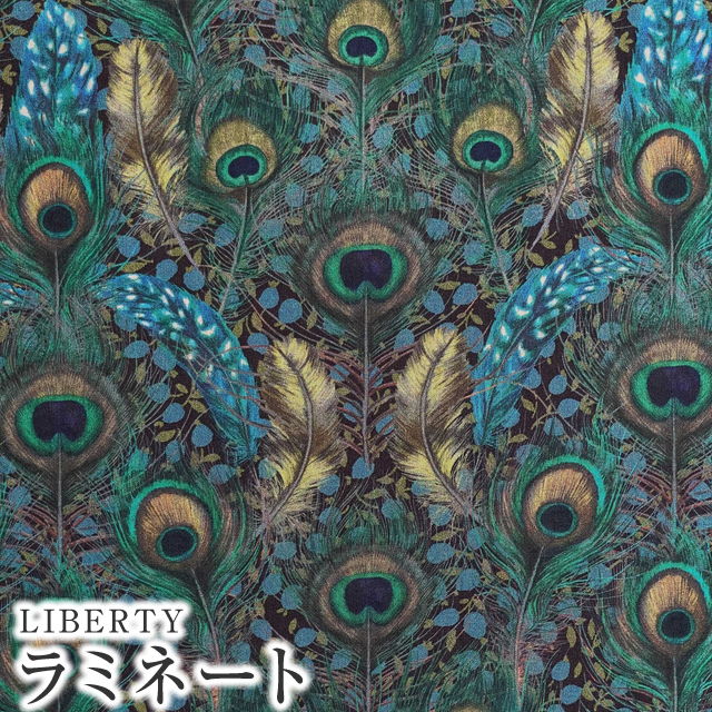 ボビー・ウィリアムスＬＰ２枚セット LIBERTY FABRICS リバティプリント 国産つや消しラミネート(ビニール