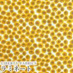 カラーバリエーション カラーバリエーション